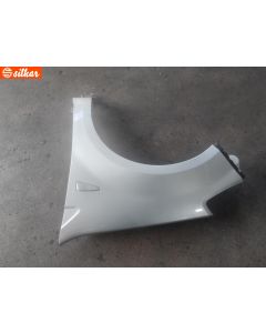 PARAFANGO ANT SX DACIA - SANDERO - MOD. 06/08 - 12/12 GRIGIO CHIARO