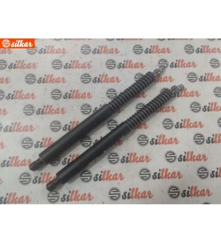 PISTONCINI PORTELLONE POST PEUGEOT 307 CC - MOD. 01/04 - 01/10